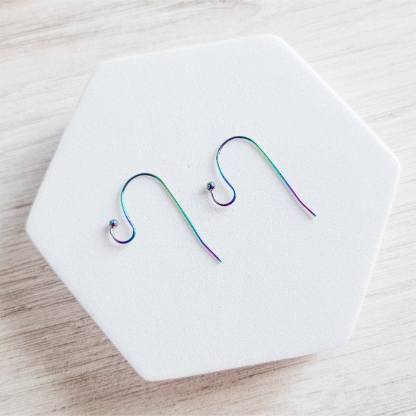 Ball Style Large Loop Rainbow Ear Wires Stainless Steel, 20 Pieces, Earring Hook #55