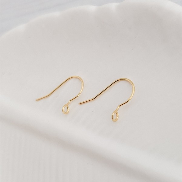 Gold Sleek Forward-Facing Stainless Steel Ear Wires, 20 Pieces, Earring Hook #1