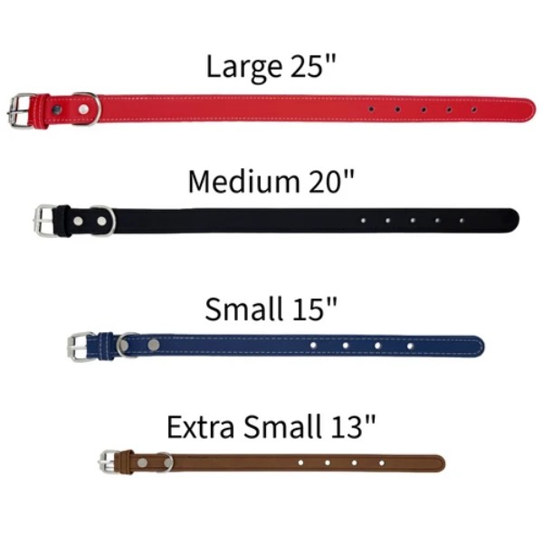 Pet Collars